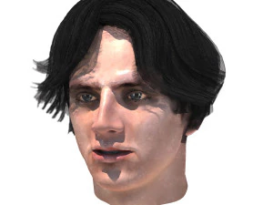 set male hairstyle 5 types 3D Model