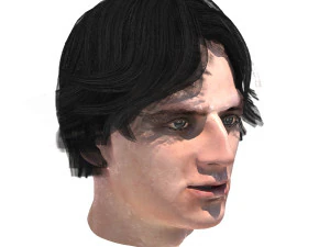 set male hairstyle 5 types 3D Model