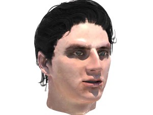 set male hairstyle 5 types 3D Model