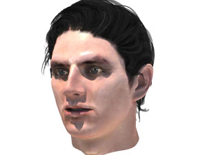 set male hairstyle 5 types 3D Model