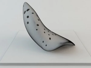 hmnlb flus arch model 3D Model