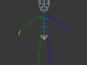 woman cartoon rigged 3D Model