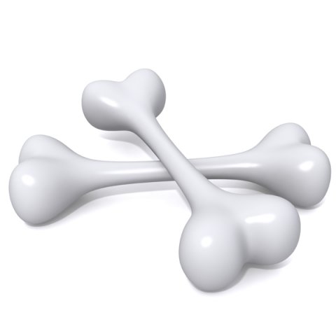 bones 3D Модель .c4d .max .obj .3ds .fbx .stl .blend 