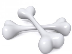 bones 3Dモデル