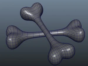 ossos Modelo 3D