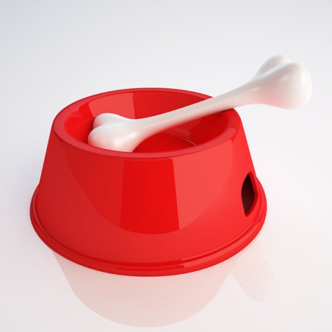 bowl pet and bone 3D मॉडल .c4d .max .obj .3ds .fbx .stl .blend 
