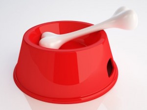 bowl pet and bone 3D-Modell