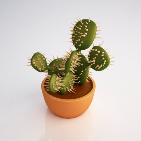 cactus 3D Model .c4d .max .obj .3ds .fbx .stl .blend 