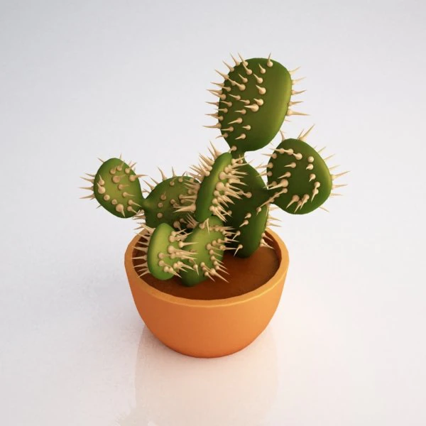 cactus 3D Model .c4d .max .obj .3ds .fbx .stl .blend