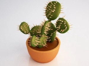 cactus 3D Model