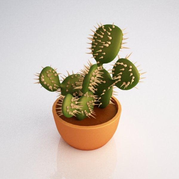 Cactus 3d Model In Small Plants 3dexport