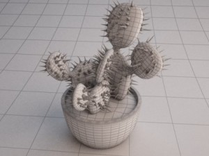 cactus 3D Model