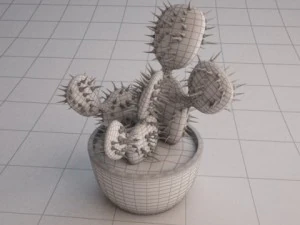 cactus 3D Model