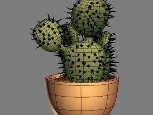 cactus 3D Model
