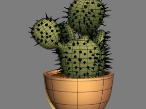 cactus 3D Model