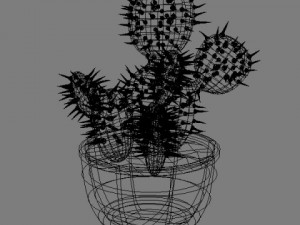 cactus 3D Model