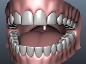 gums and teeth 3D मॉडल