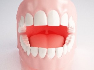 gums and teeth 3D मॉडल