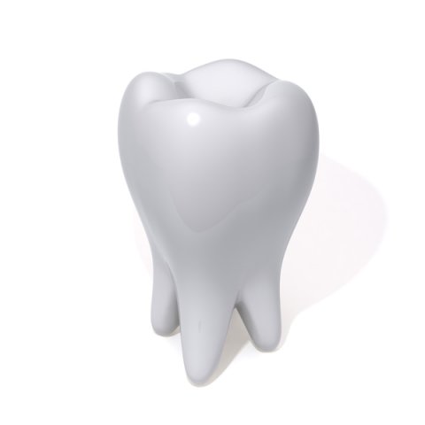 tooth 3D 模型 .c4d .max .obj .3ds .fbx .stl .blend 
