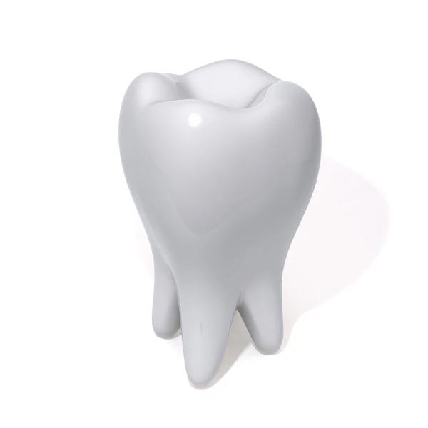 tooth 3D Model .c4d .max .obj .3ds .fbx .stl .blend