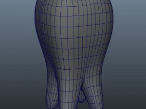 tooth 3D 模型