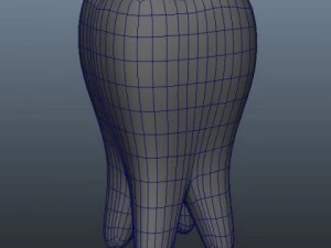 tooth 3D Model