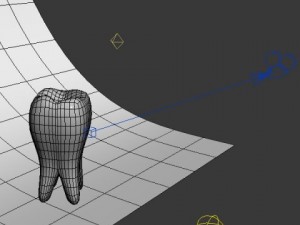 tooth 3D 模型