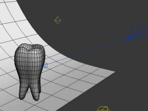 tooth 3D Model