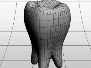 tooth 3D 模型