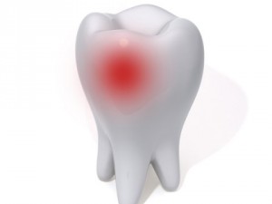 tooth 3D 模型