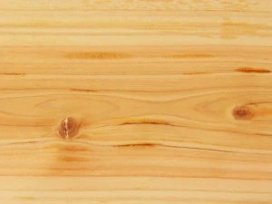 Truck cartoon 3D Model