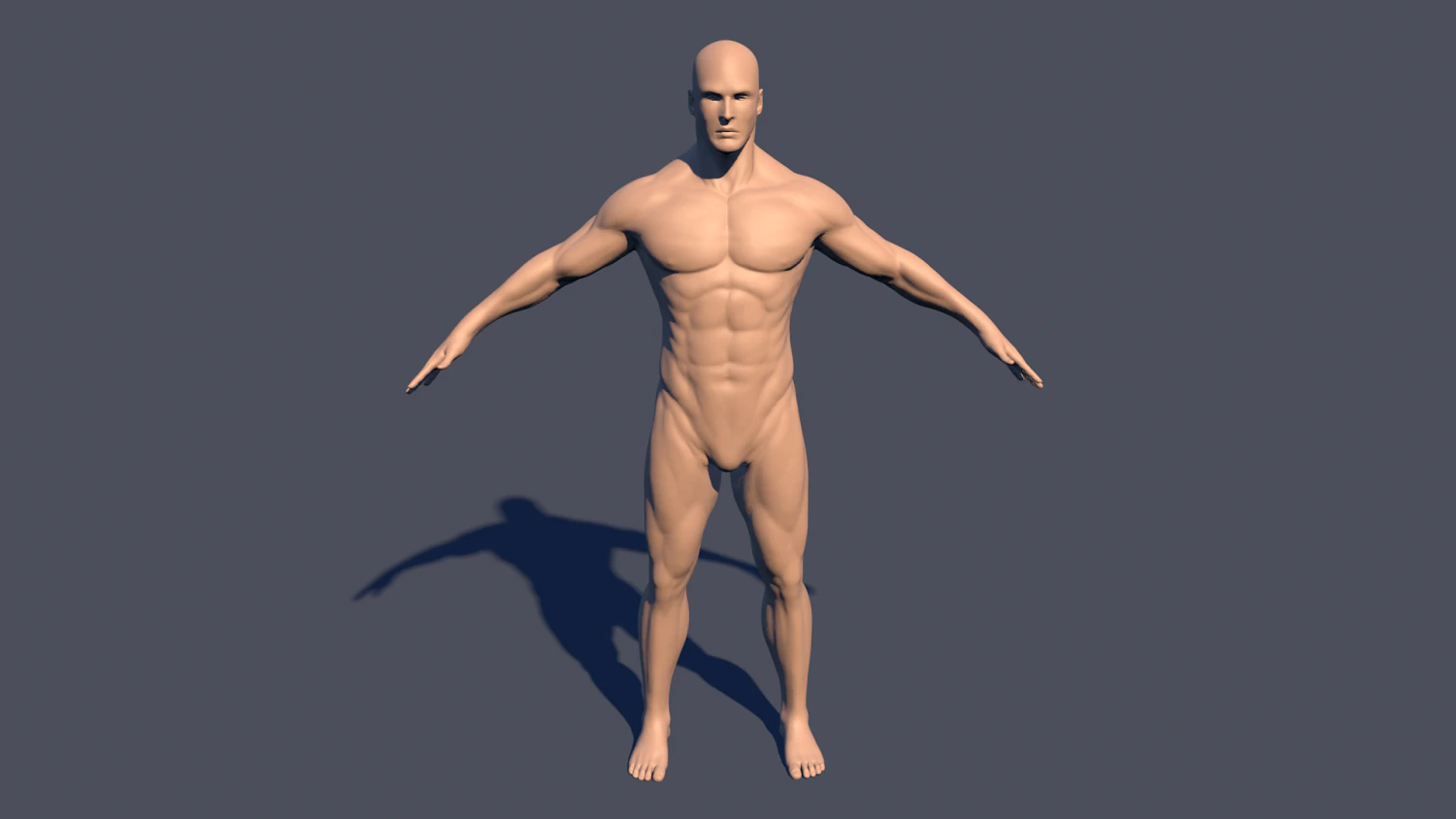 特点 3D 模型 .c4d .max .obj .3ds .fbx .stl .blend 