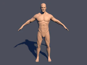 character 3D Model