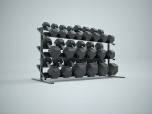 dumbbell set and rack 3D Model