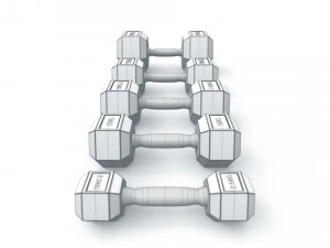 dumbbell set and rack 3D Model