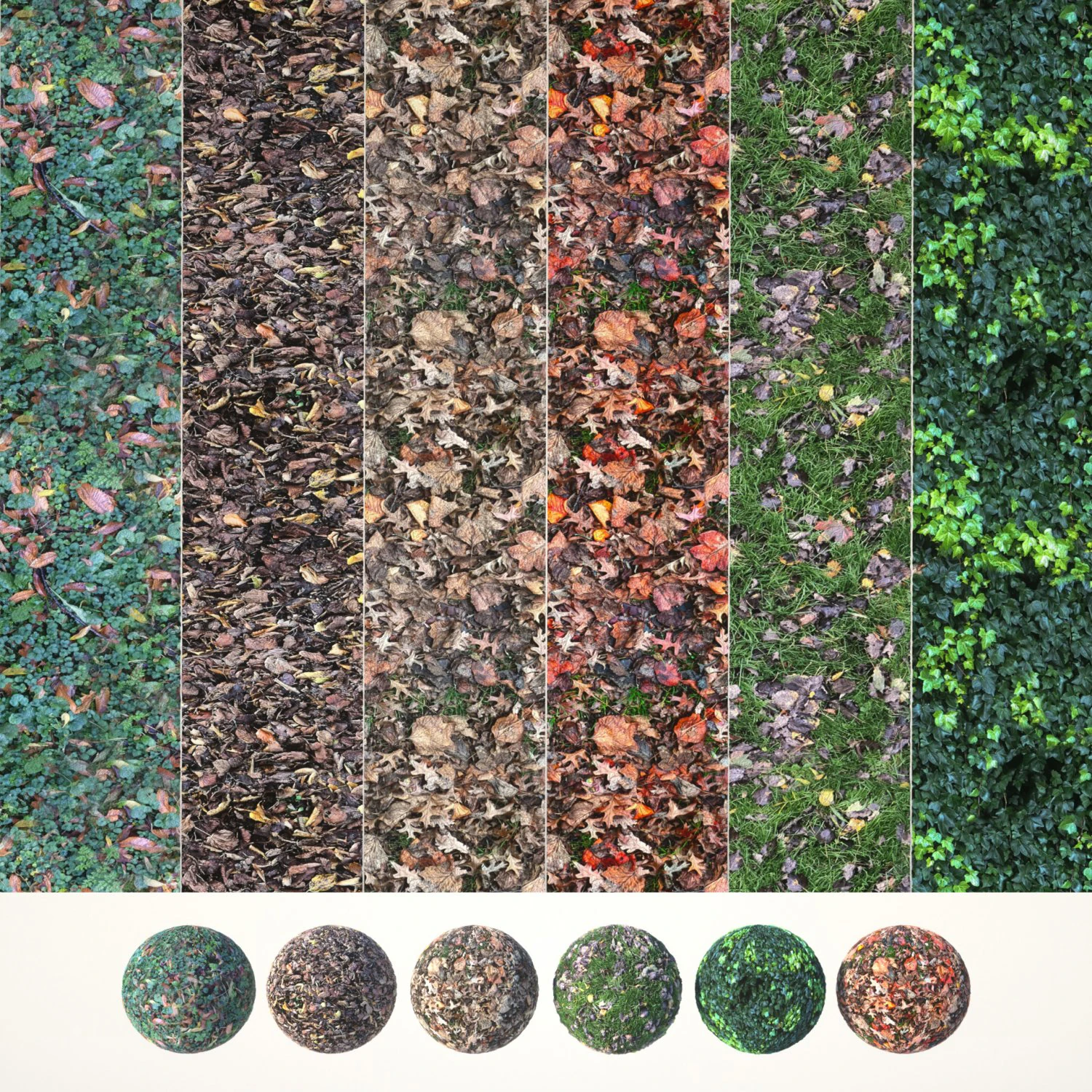 6 seamless leaf material textures texture CG Textures .c4d .max .obj .3ds .fbx .stl .blend