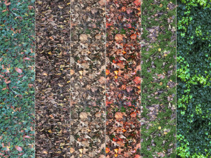6 seamless leaf material textures texture CG Textures