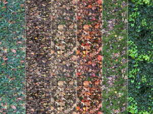 6 seamless leaf material textures texture CG Textures