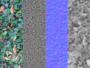 6 seamless leaf material textures texture CG Textures