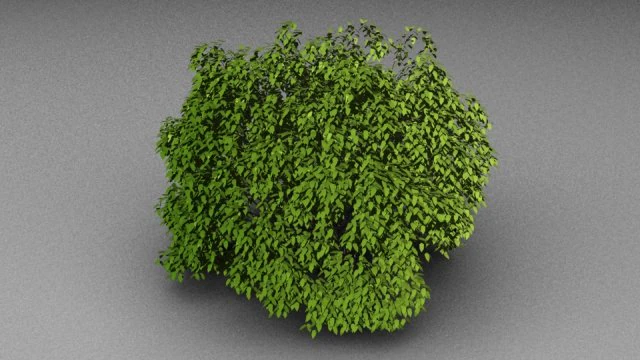 чагарник 3D Модель .c4d .max .obj .3ds .fbx .stl .blend 