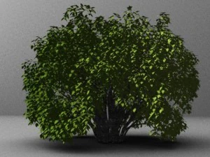 чагарник 3D Модель