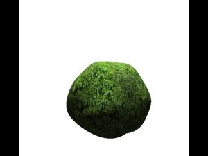 3d cartoon bush 3Dモデル