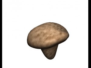 3d cartoon mushroom 3D Model