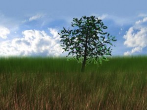 grass Modello 3D