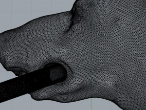 ring dog 3D Print Model