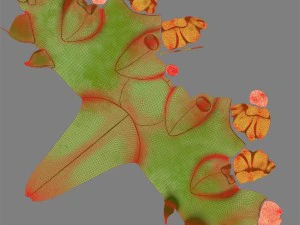 green forest dragon 3D Model
