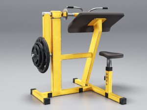 simulator for biceps 3D 모델