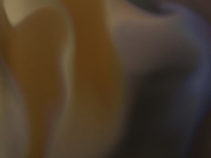 wall panel 3D 模型