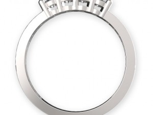 stl 3dm jewelry ring 001 3D-Druckmodell