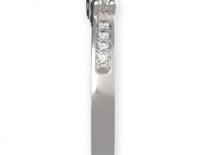 stl 3dm jewelry ring 001 3D-Druckmodell
